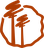 红杉